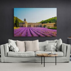 lavender field painting