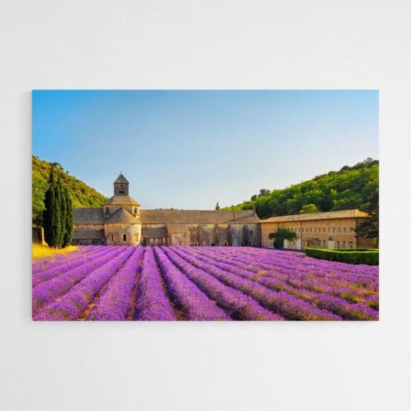 lavender field painting