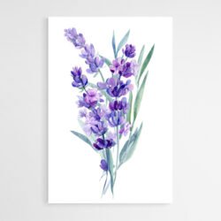 lavender plant painting