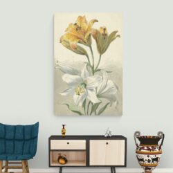 lily flower art