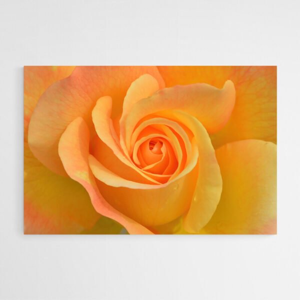 orange flower painting