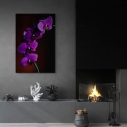 orchid art