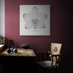 orchid wall art