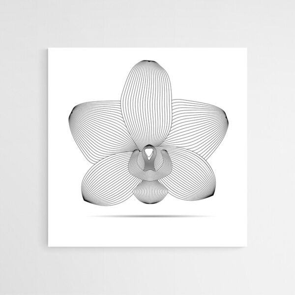 orchid wall art