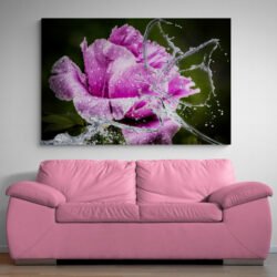 peony art