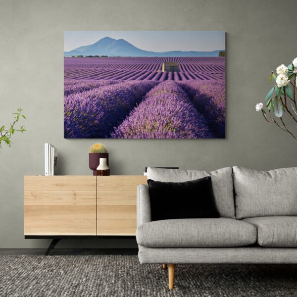 poppy field painting