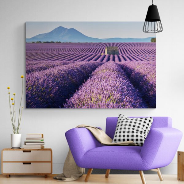 poppy field painting