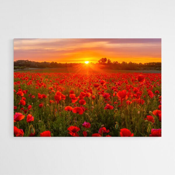 poppy field painting