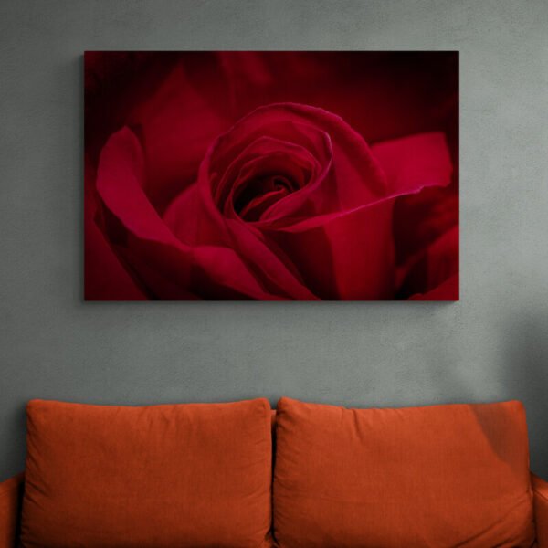 red rose art