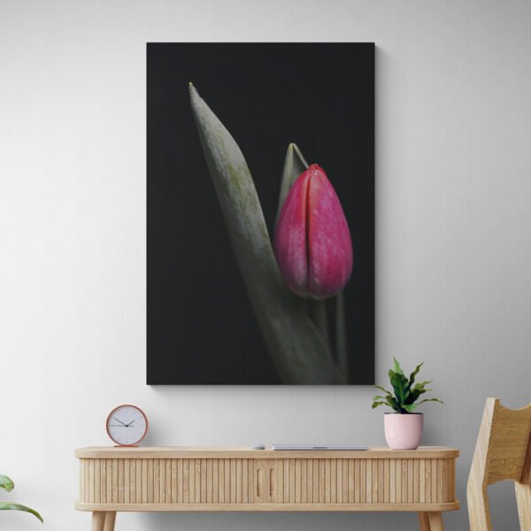 red tulip painting