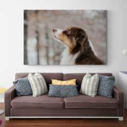 Funny dog painting