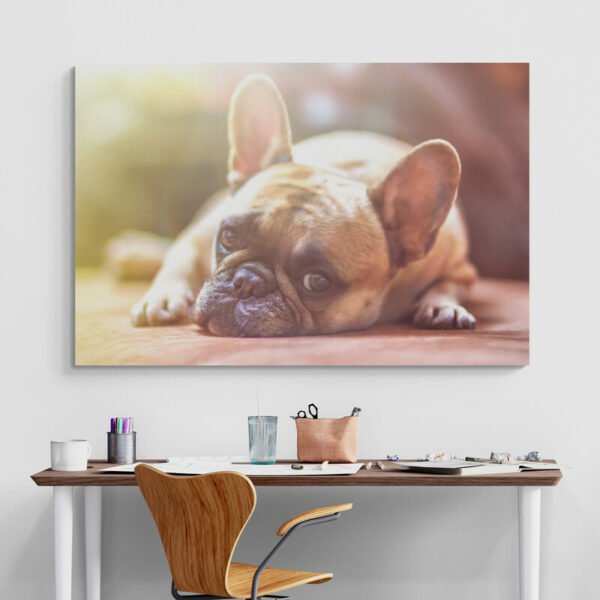 French bulldog art