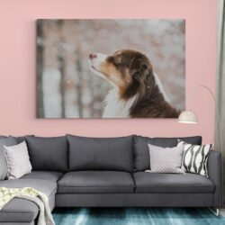 Funny dog painting