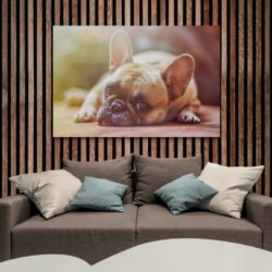 French bulldog art