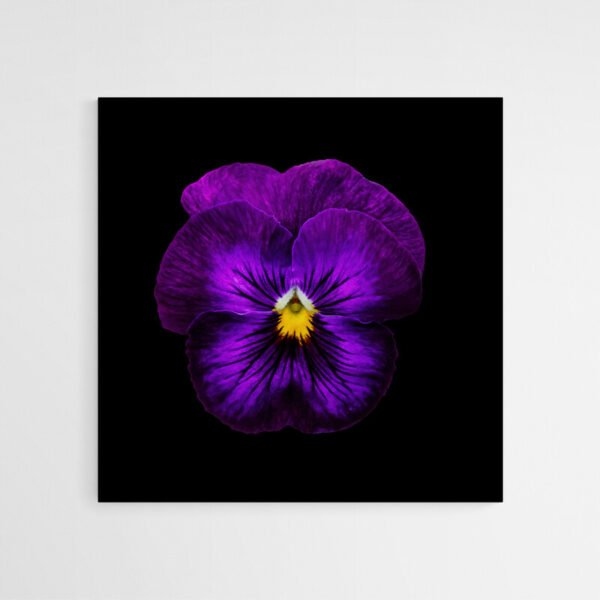 violet flower painting