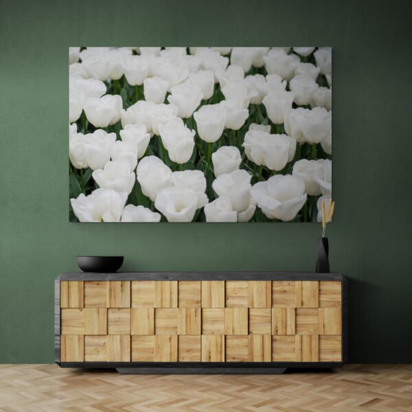 white tulip painting