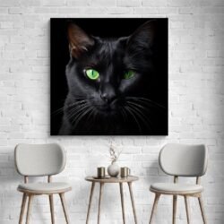 Black cat green eyes