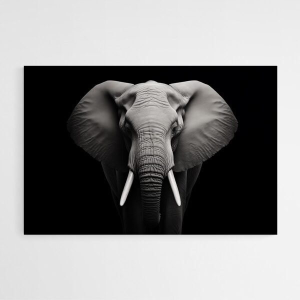 Black and White Elephant Painting